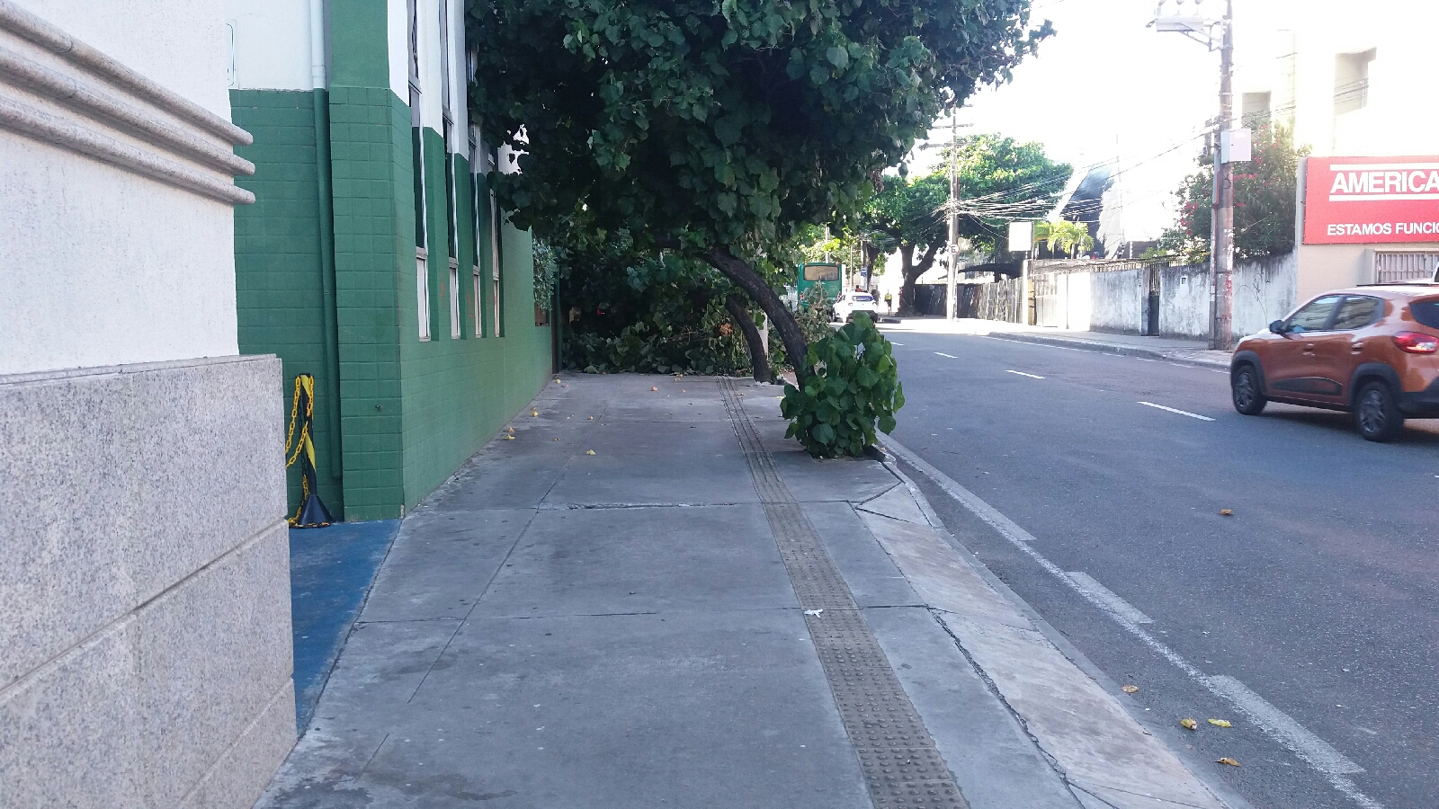 Árvore caida na João Gomes