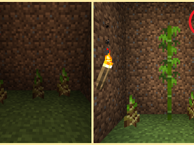 [最も欲しかった] マイクラ 竹林 788808-マイクラ 竹林場