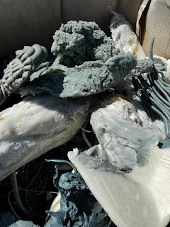 LLDPE Purge