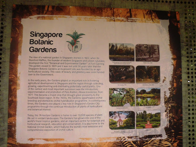 free masuk di singapore