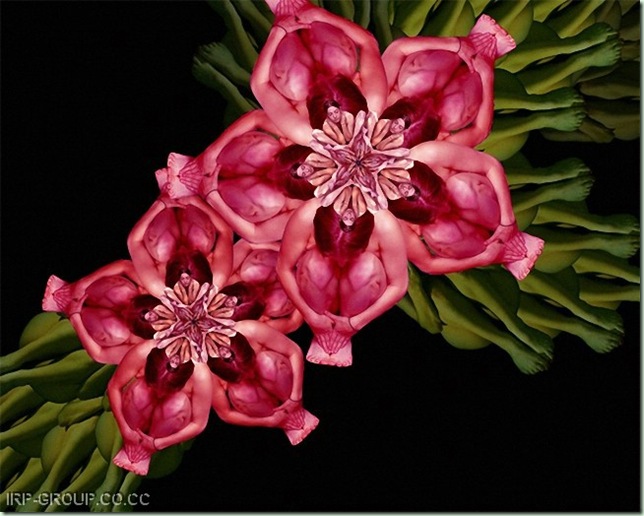 bodyart (3)