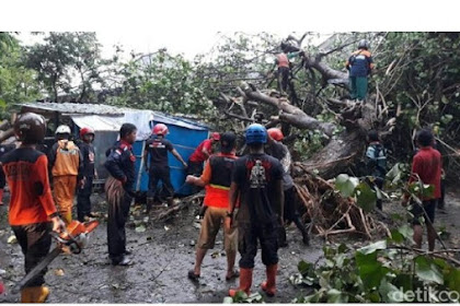 Hujan disertai Puting Beliung di Solo Sebabkan Pohon Tumbang Timpa Mobil