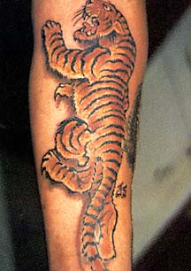 Tiger tattoo art design