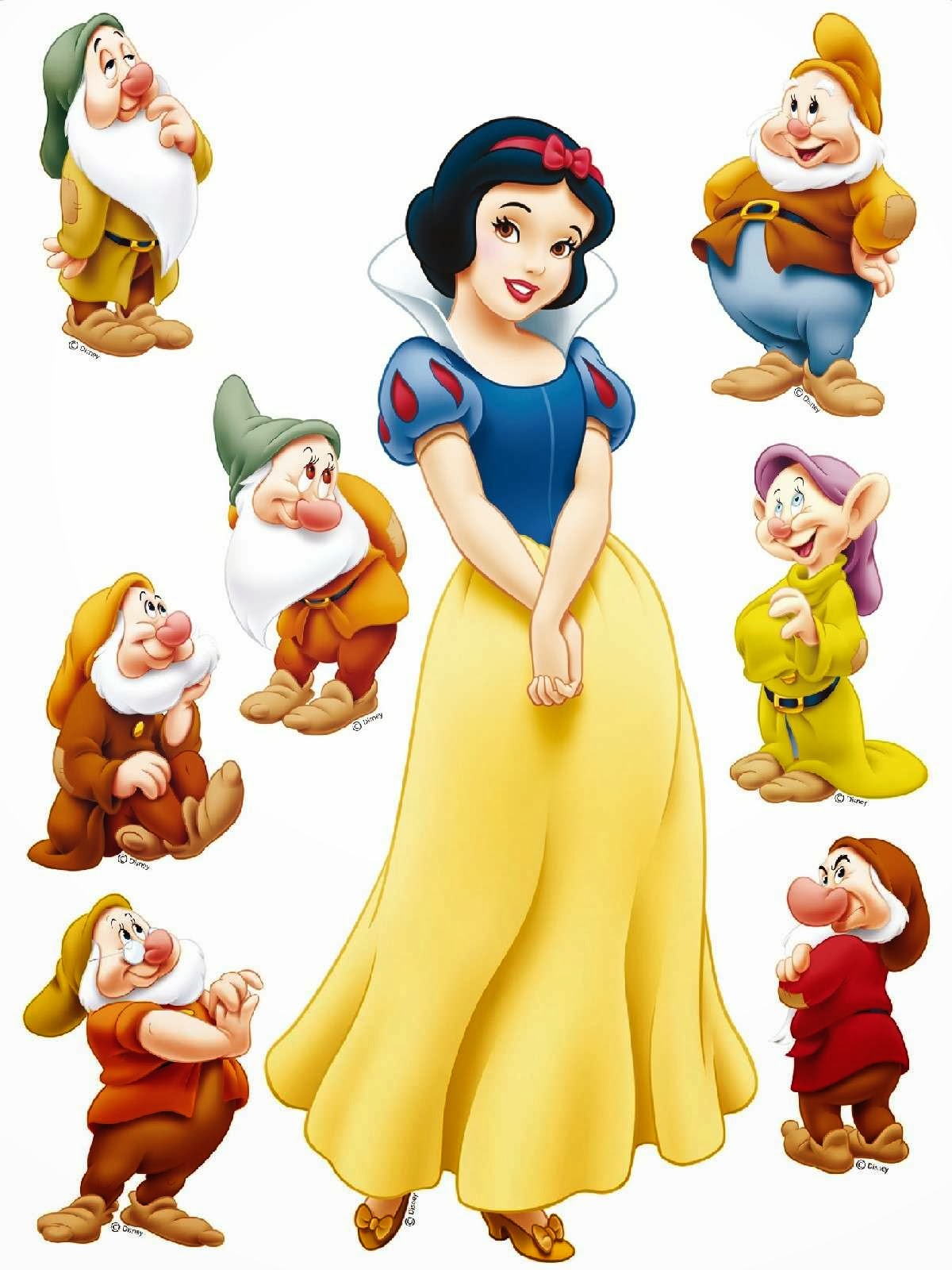 Walt Disney Disney Princess