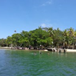 View album