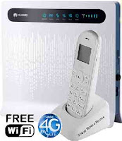 Globe LTE modem and Super Home Phone