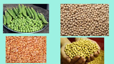 ktbs solutions class 8 science workbook Crop Production and Management