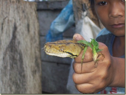 python 2