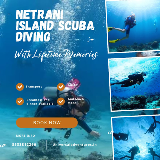 Netrani Island Scuba Diving, netrani island scuba diving price, netrani island scuba diving best time, murudeshwar snorkeling, island near gokarna,