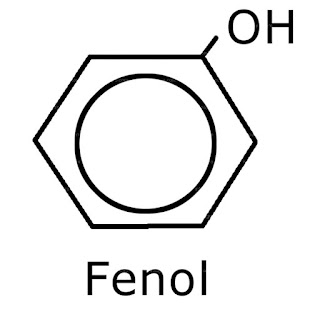 El Fenol