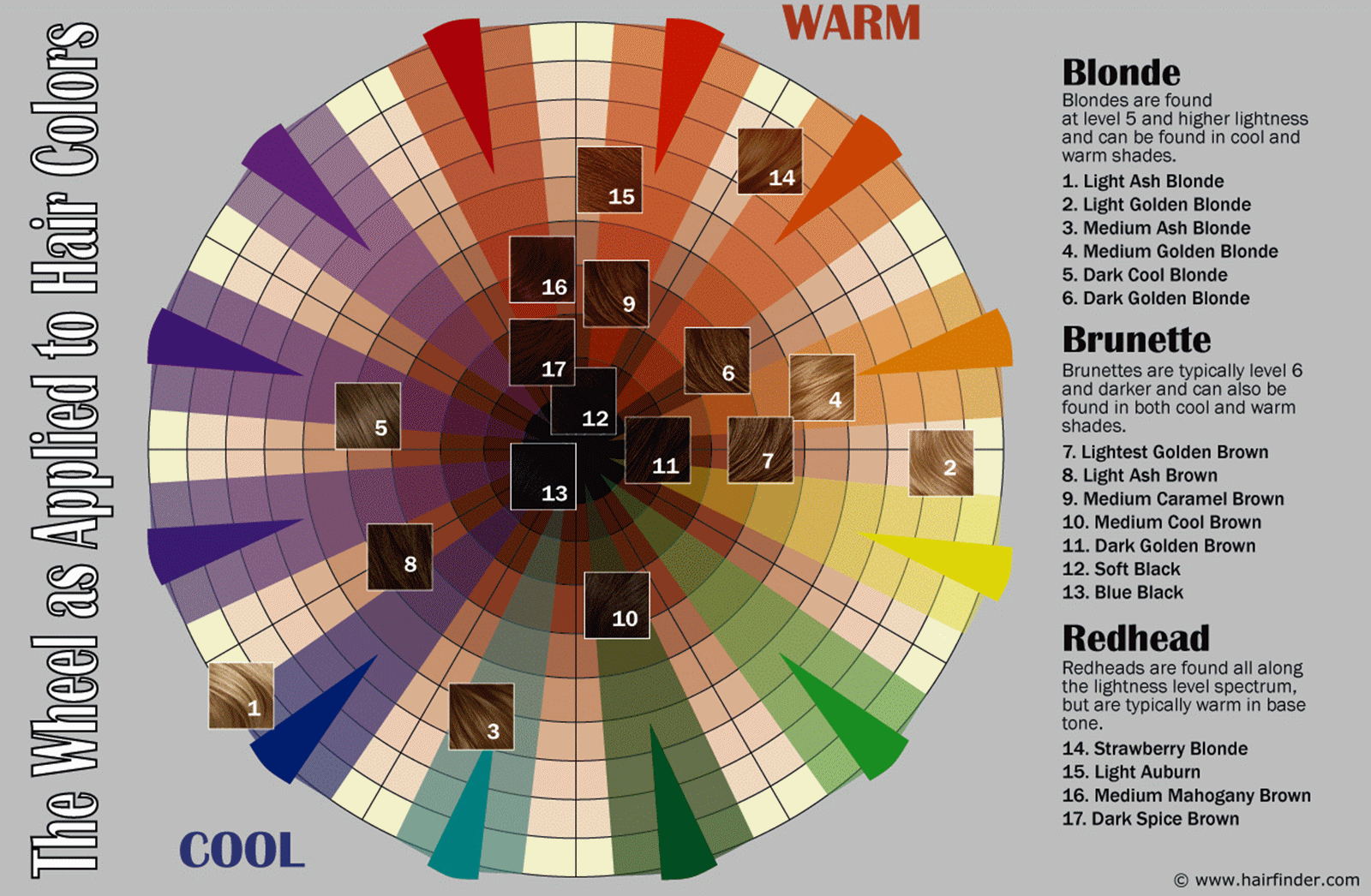 ve heard many hair stylists over the years as I How To Use The Hair Color Wheel