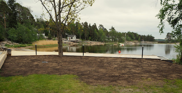 lingonberryhouse, leisure home, nurmikko, grass. summer, kesä, kasvatus, growing