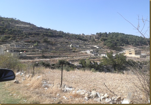 Syria 11 195