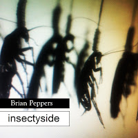 Brian Peppers - Insectyside (B.S.R. 2011)