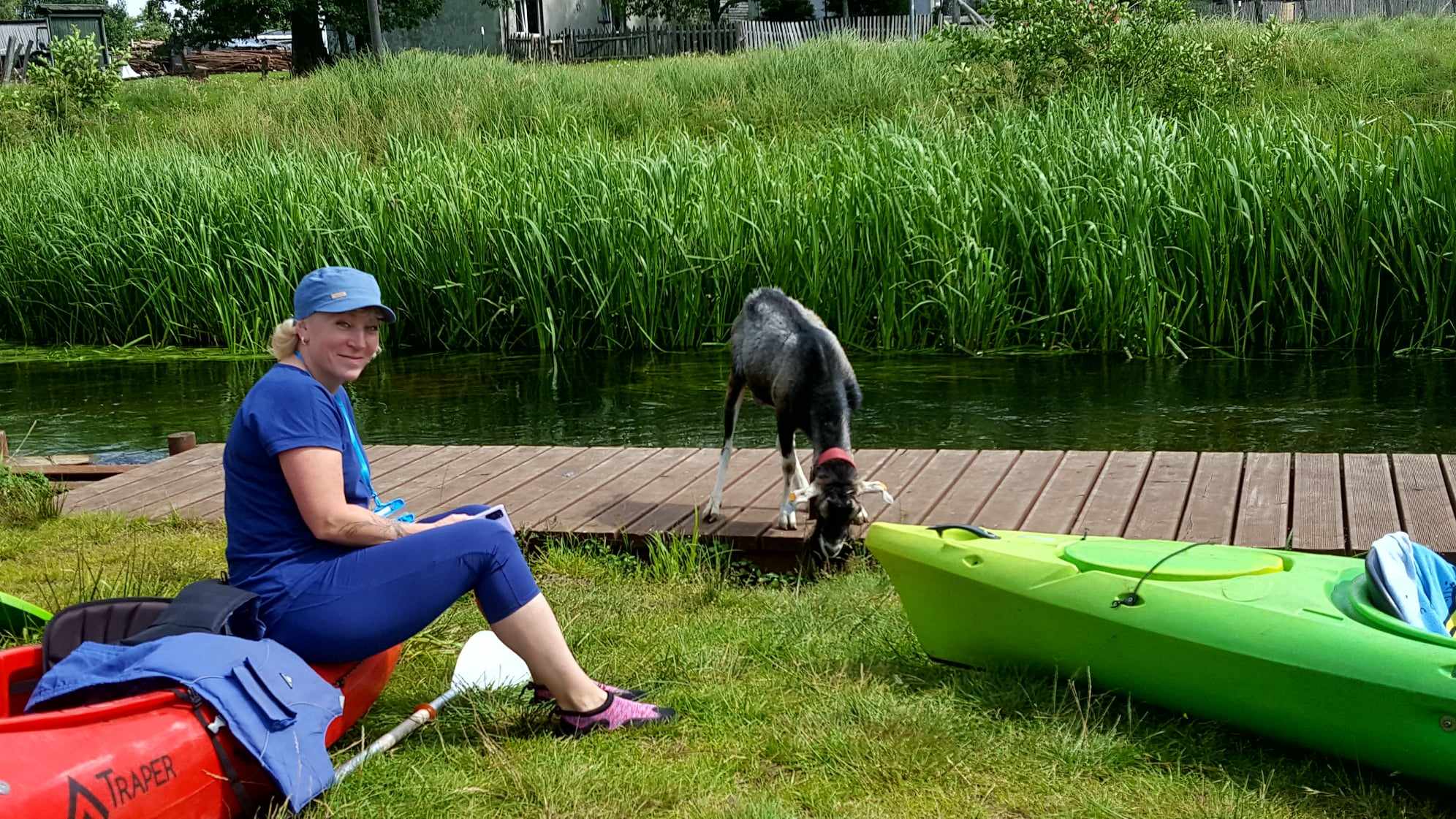 Bajka o tym, jak Gosia kozła pasała