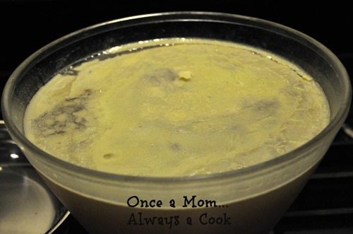 fat from chicken stock
