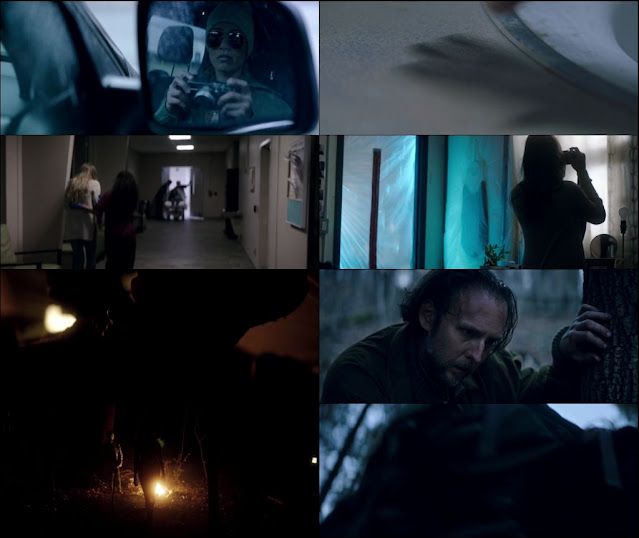 Only 2019 Dual Audio ORG 720p WEBRip