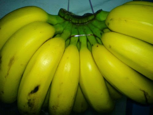 Gambar Buah  Pisang  Gambar Gambar Buah 