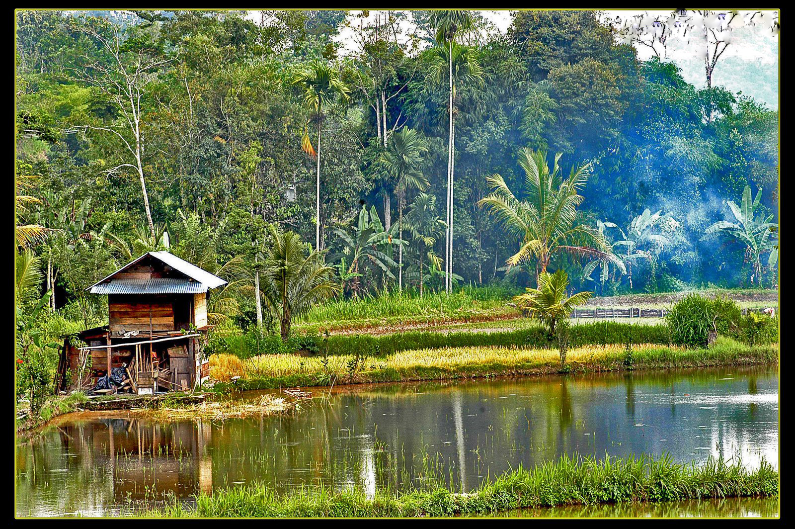  Foto Pemandangan Sawah Dan Pegunungan Car Interior Design