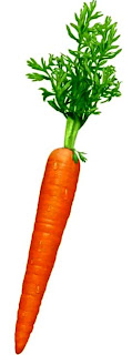 carrot