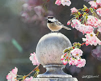 Birds Oil Paintings