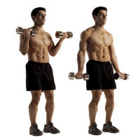 Dumbbell Biceps Curl