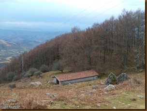 Borda