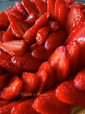 TARTES AUX FRAISES type CAP