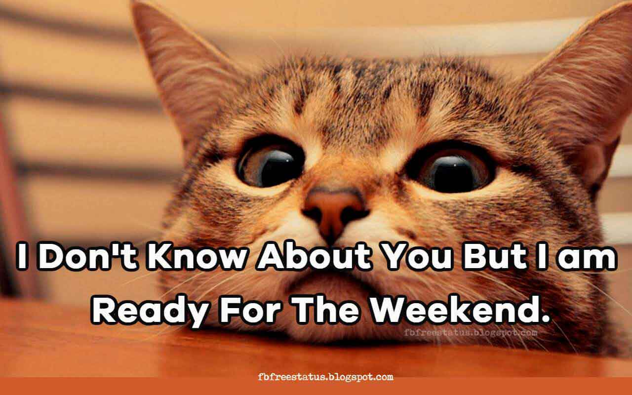Funny & Happy Weekend Memes Quotes With Funny Weekend Images