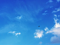 Flying Without Wings