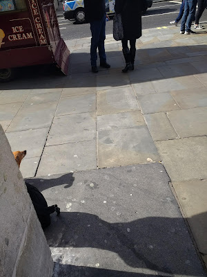 A small brown dog pops its head around the side of a concrete building in central London.