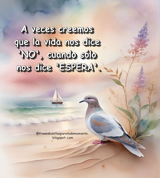 A veces creemos que la vida nos dice 'NO', cuando sólo nos dice 'ESPERA'.