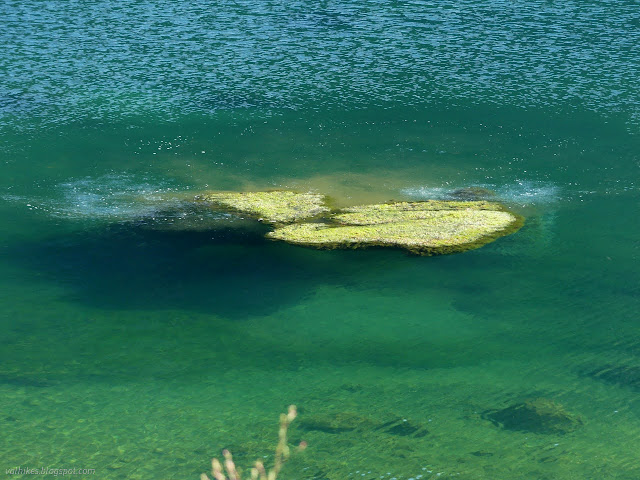 047: algae mats appearing