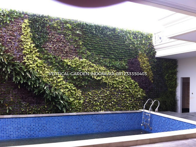 VERTICAL GARDEN INDONESIA SPESIALIS JASA PEMBUATAN VERTICAL GARDEN DI CILEGON DAN DI SELURUH WILAYAH CILEGON DENGAN TENAGA YANG PROFESIONAL DAN DAPAT DI PERCAYA YANG SELALU MENGUTAMAKAN SEBUAH MUTU DAN KUALITAS PEMASANGAN VERTICAL GARDEN/TAMAN DINDING, JASA TUKANG TAMAN VERTICAL CILEGON, JASA VERTICAL GARDEN CILEGON