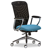 SitWell Ovation Chair