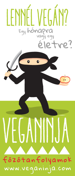 VegaNinja