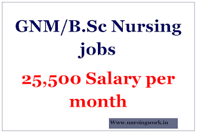 GNM B.Sc Nursing jobs- 25.5K Salary