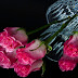 Pink Roses Wallpapers