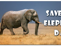 Save The Elephant Day - 16 April.