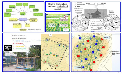 ElectroHemp Pitchdeck Image 9