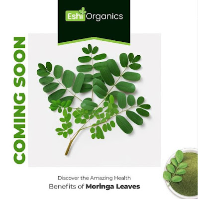 Buy Moringa Powder Online in Pakistan