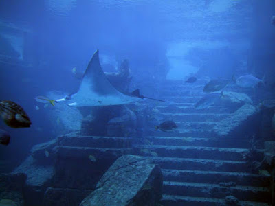 Foto-foto Seramnya Dalam Laut Segitiga Bermuda