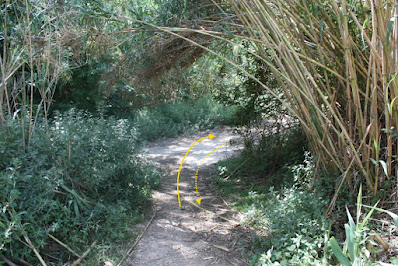 SANTA OLIVA CAMÍ DELS TURONS + CAMÍ DEL CAMP DE COLL - ESGLESIA DE SANT MIQUEL - RIERA DE SANT MIQUEL, corriol a la vora de les Masies de Sant Miquel al terme municipal de Banyeres del Penedès - Baix Penedès