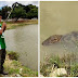 Homem é flagrado "pescando" um jacaré na lagoa e vídeo viraliza; assista