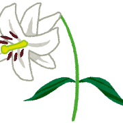 ユリのイラスト