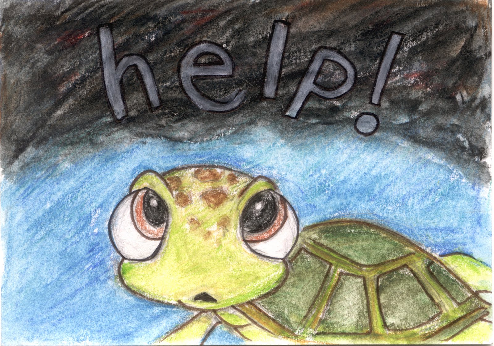 ripple: 914. 915. Turtle Help