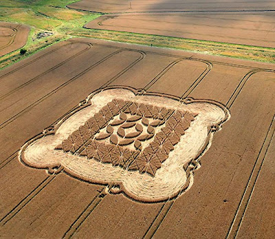 crop circle pictures