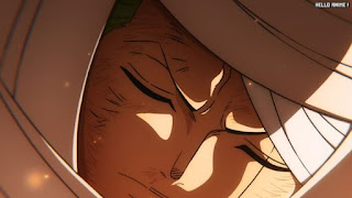 ワンピースアニメ 1033話 ロロノア・ゾロ Roronoa Zoro | ONE PIECE Episode 1033