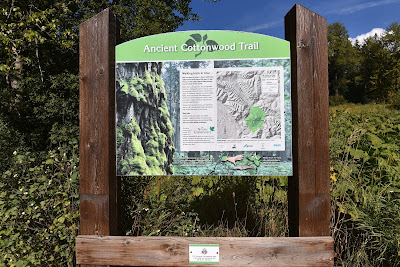 Ancient Cottonwood Trail British Columbia.