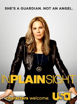 In Plain Sight Poster